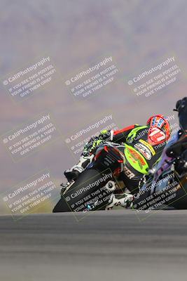 media/Nov-12-2023-SoCal Trackdays (Sun) [[5d1fba4e7d]]/Turn 9 Backside (1015am)/